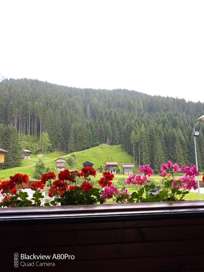 Bifamiliare Con Giardino Apartment San Pietro di Cadore